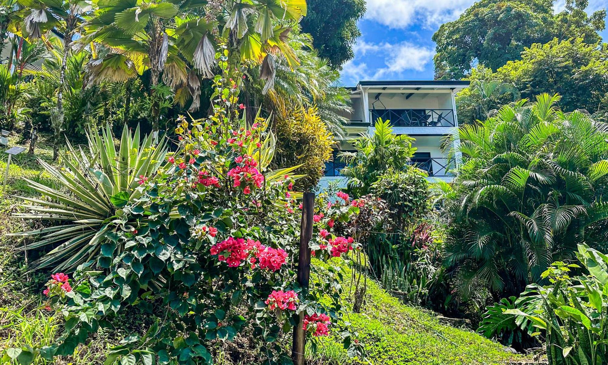 Villa Roca Boutique Resort & Suites - Adult Only Manuel Antonio Exterior photo